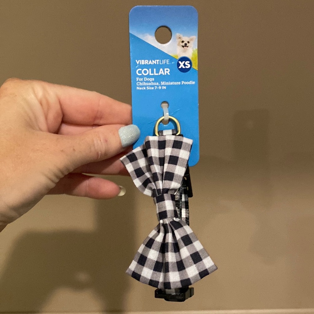 XS dog collar with bow